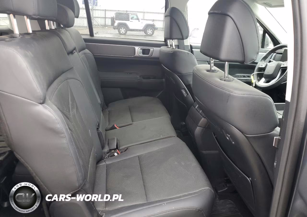 2025 Hyundai Santa Fe Xrt VIN:5NMP3DGL3SH109049 - 10
