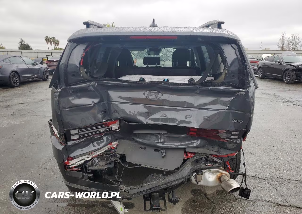 2025 Hyundai Santa Fe Xrt VIN:5NMP3DGL3SH109049 - 6