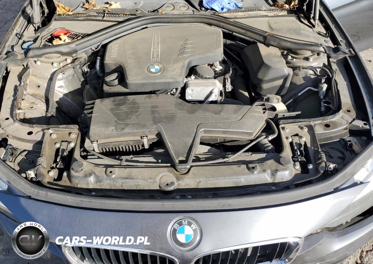 2017 BMW 320 I VIN:WBA8E1G58HNU13324 - 11