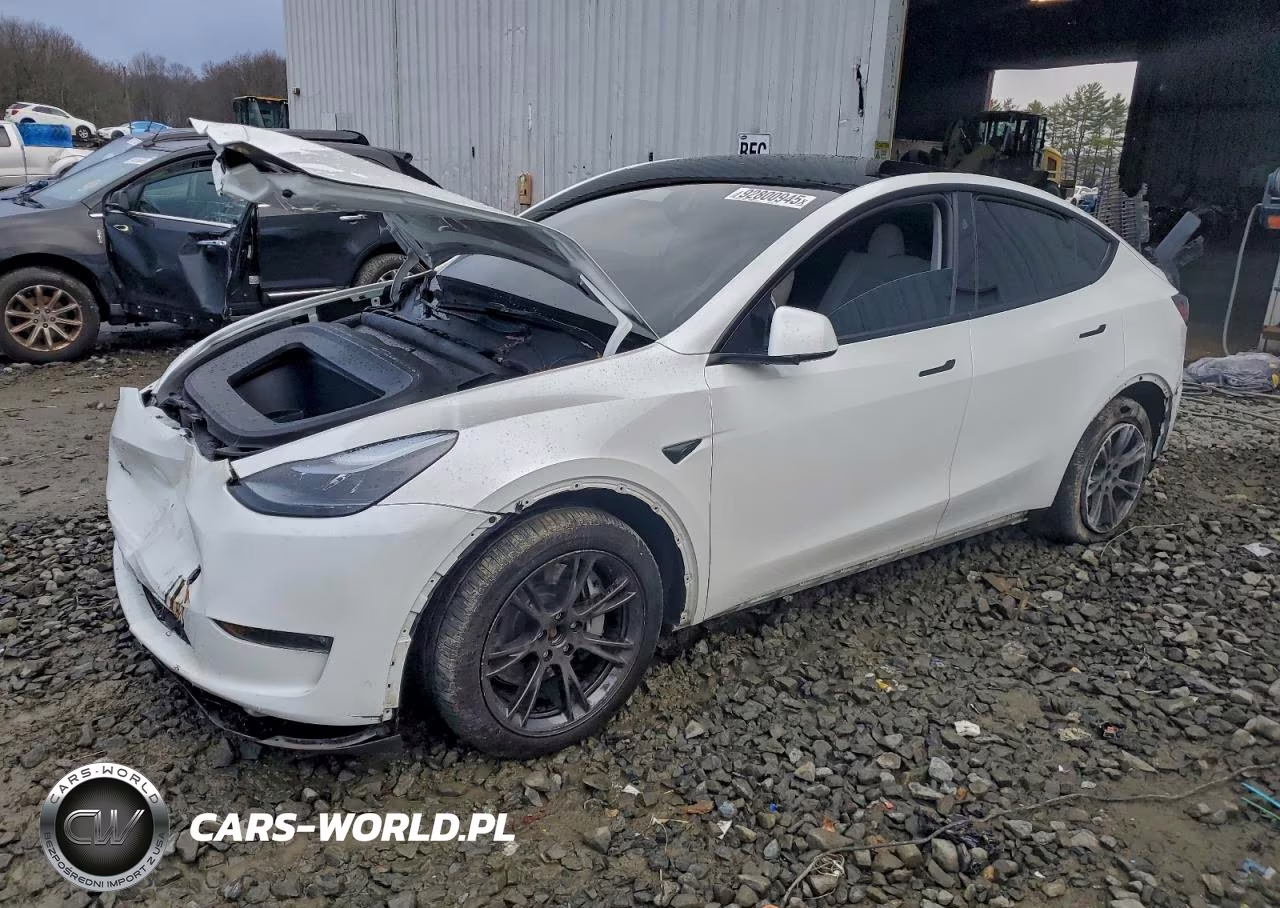 2025 Tesla Model Y