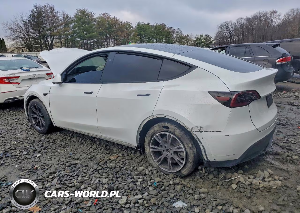 2025 Tesla Model Y VIN:7SAYGDEE4SA355042 - 2