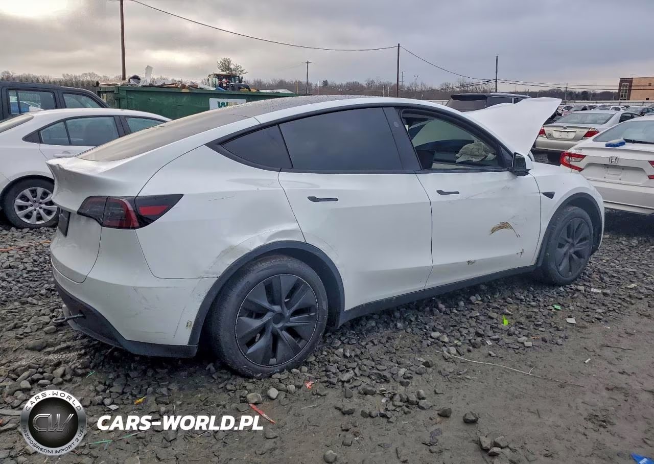 2025 Tesla Model Y VIN:7SAYGDEE4SA355042 - 3