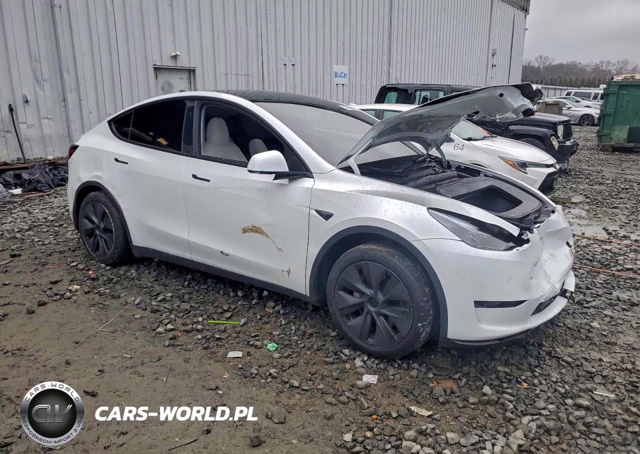 2025 Tesla Model Y VIN:7SAYGDEE4SA355042 - 4