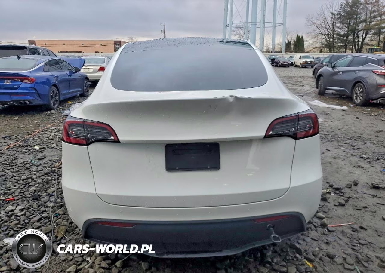 2025 Tesla Model Y VIN:7SAYGDEE4SA355042 - 6