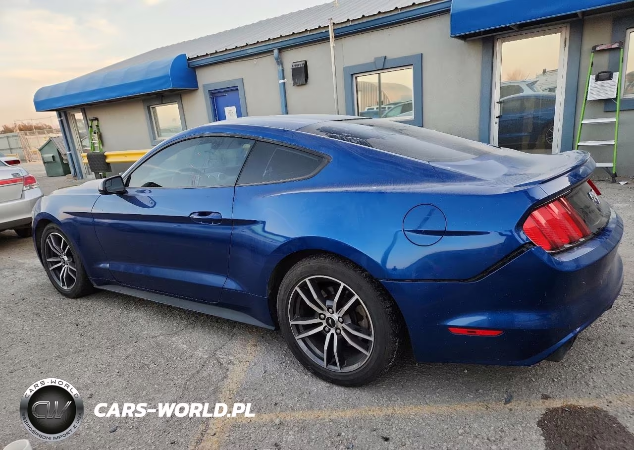 2017 Ford Mustang VIN:1FA6P8TH3H5221327 - 2