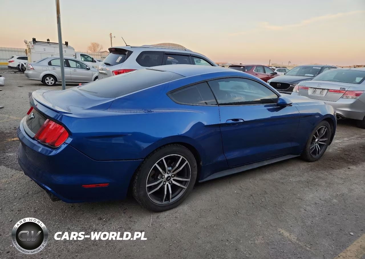 2017 Ford Mustang VIN:1FA6P8TH3H5221327 - 3