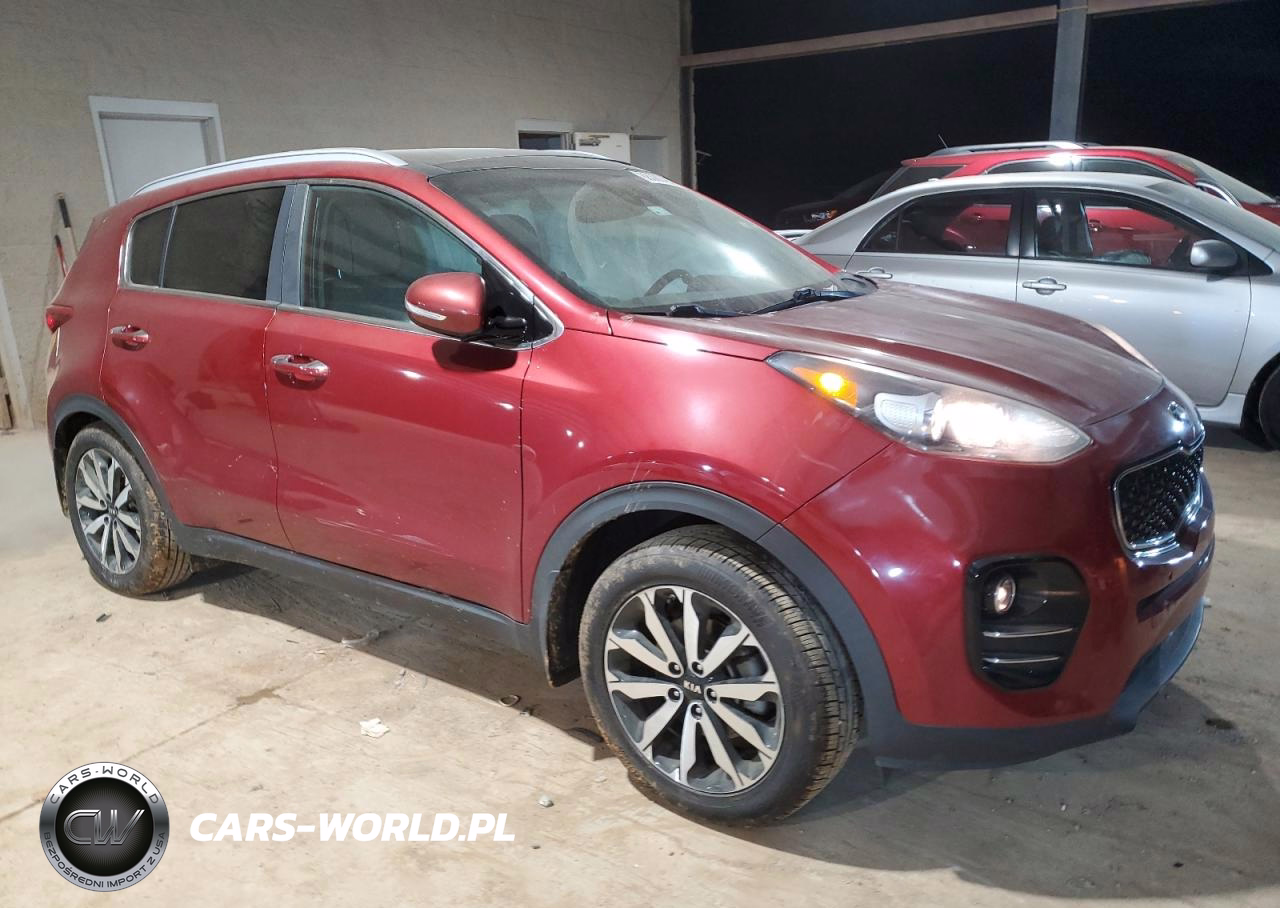 2017 Kia Sportage Ex VIN:KNDPN3AC9H7167485 - 4