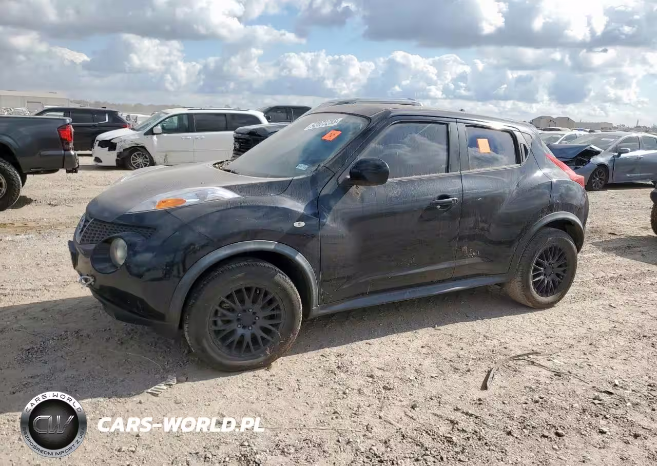 2011 Nissan Juke