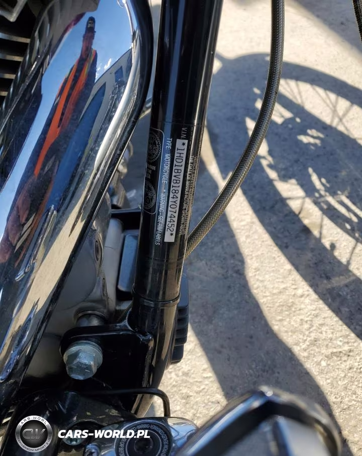 2004 Harley-Davidson Fxsti VIN:1HD1BVB184Y074452 - 9