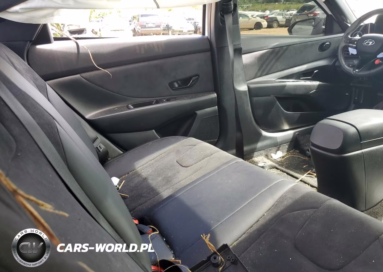 2023 Hyundai Elantra N VIN:KMHLW4AK9PU016764 - 10