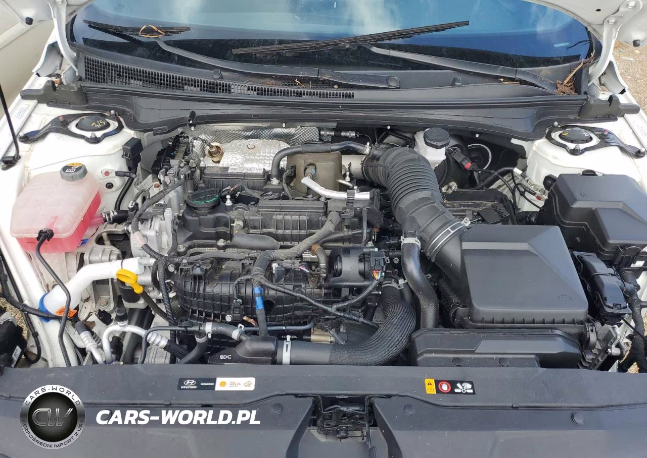 2023 Hyundai Elantra N VIN:KMHLW4AK9PU016764 - 11