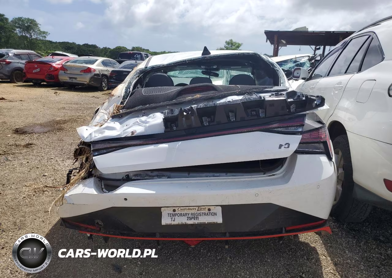 2023 Hyundai Elantra N VIN:KMHLW4AK9PU016764 - 6