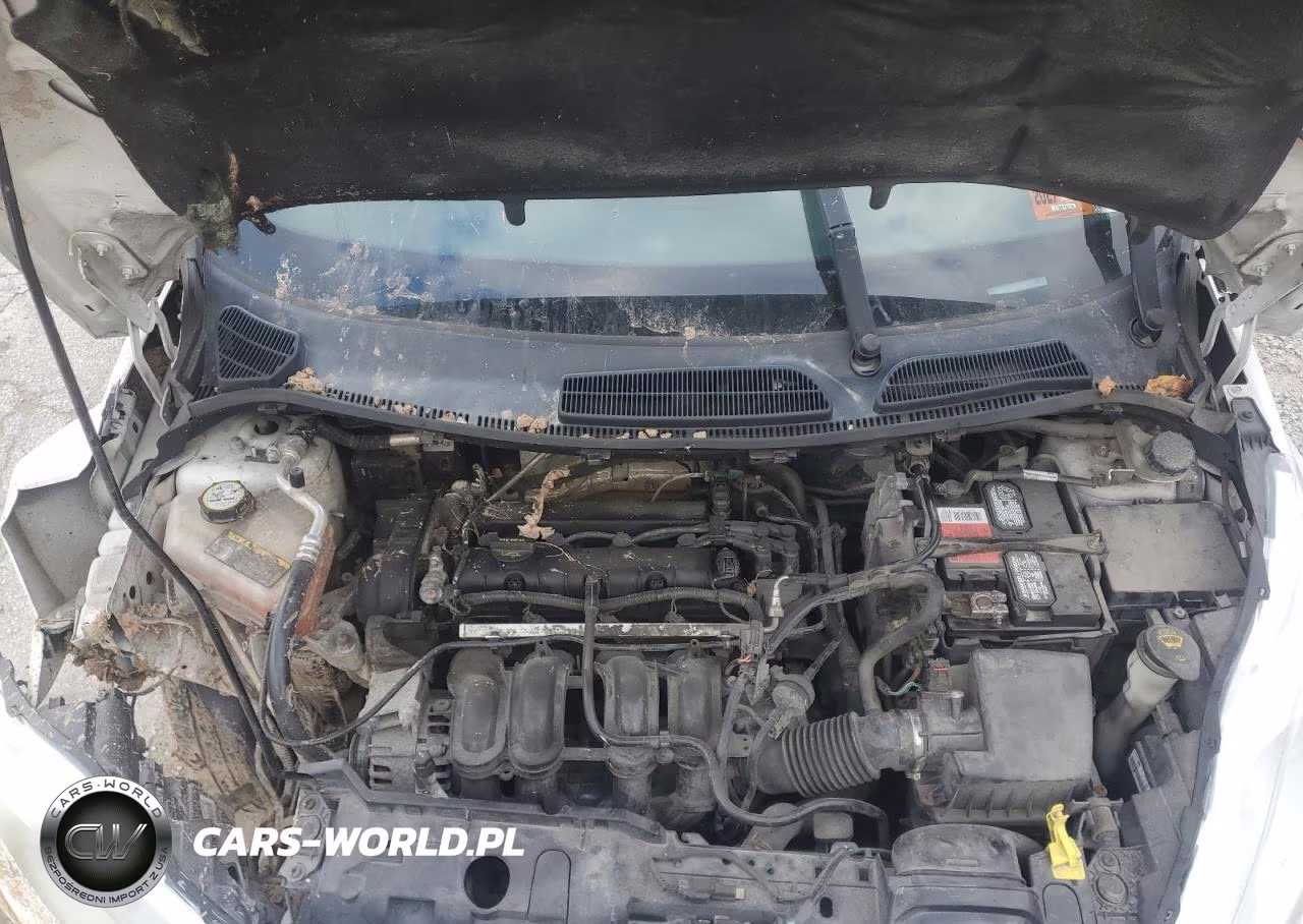 2013 Ford Fiesta Se VIN:3FADP4BJ3DM176396 - 11