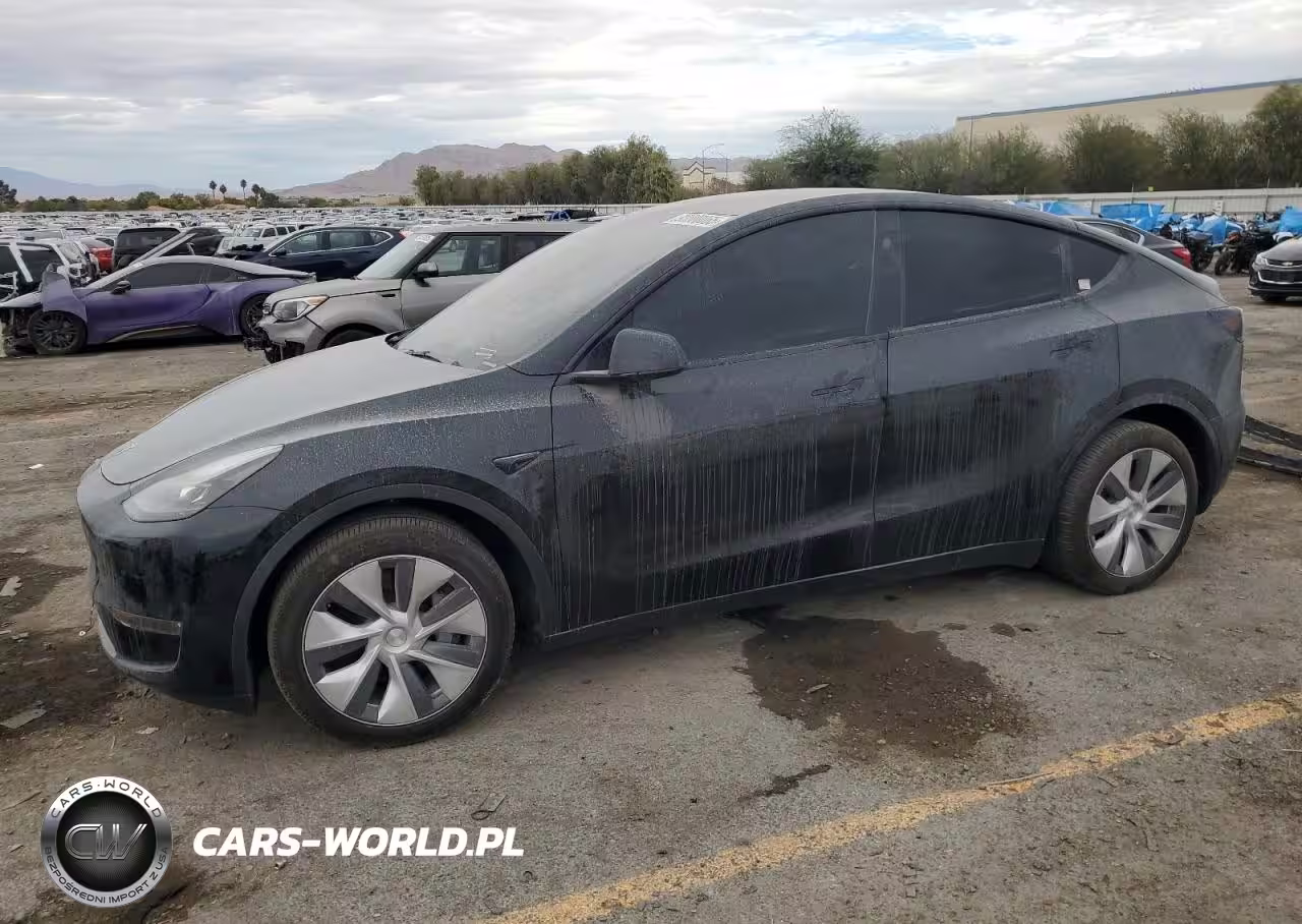 2024 Tesla Model Y