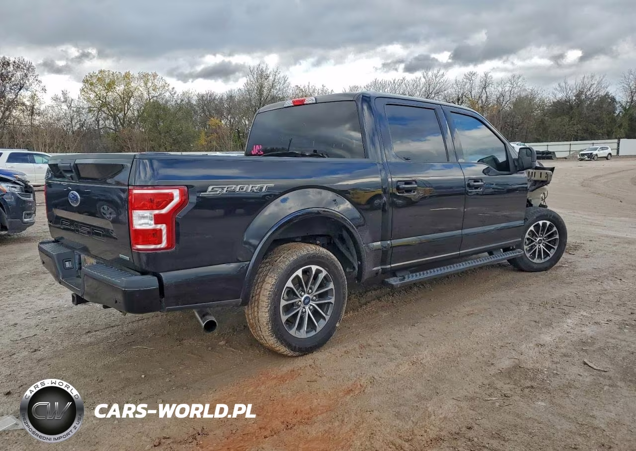 2020 Ford F150 Supercrew VIN:1FTEW1CP4LFB39021 - 3