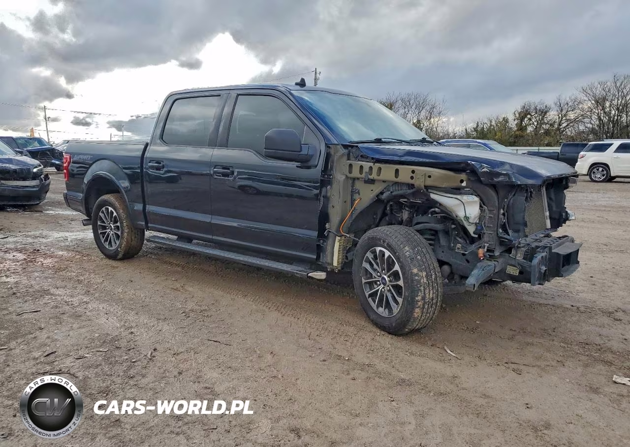 2020 Ford F150 Supercrew VIN:1FTEW1CP4LFB39021 - 4