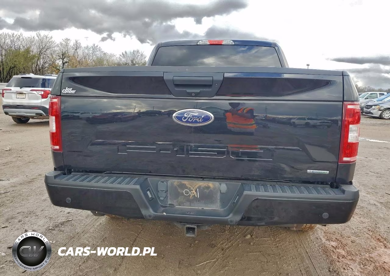 2020 Ford F150 Supercrew VIN:1FTEW1CP4LFB39021 - 6