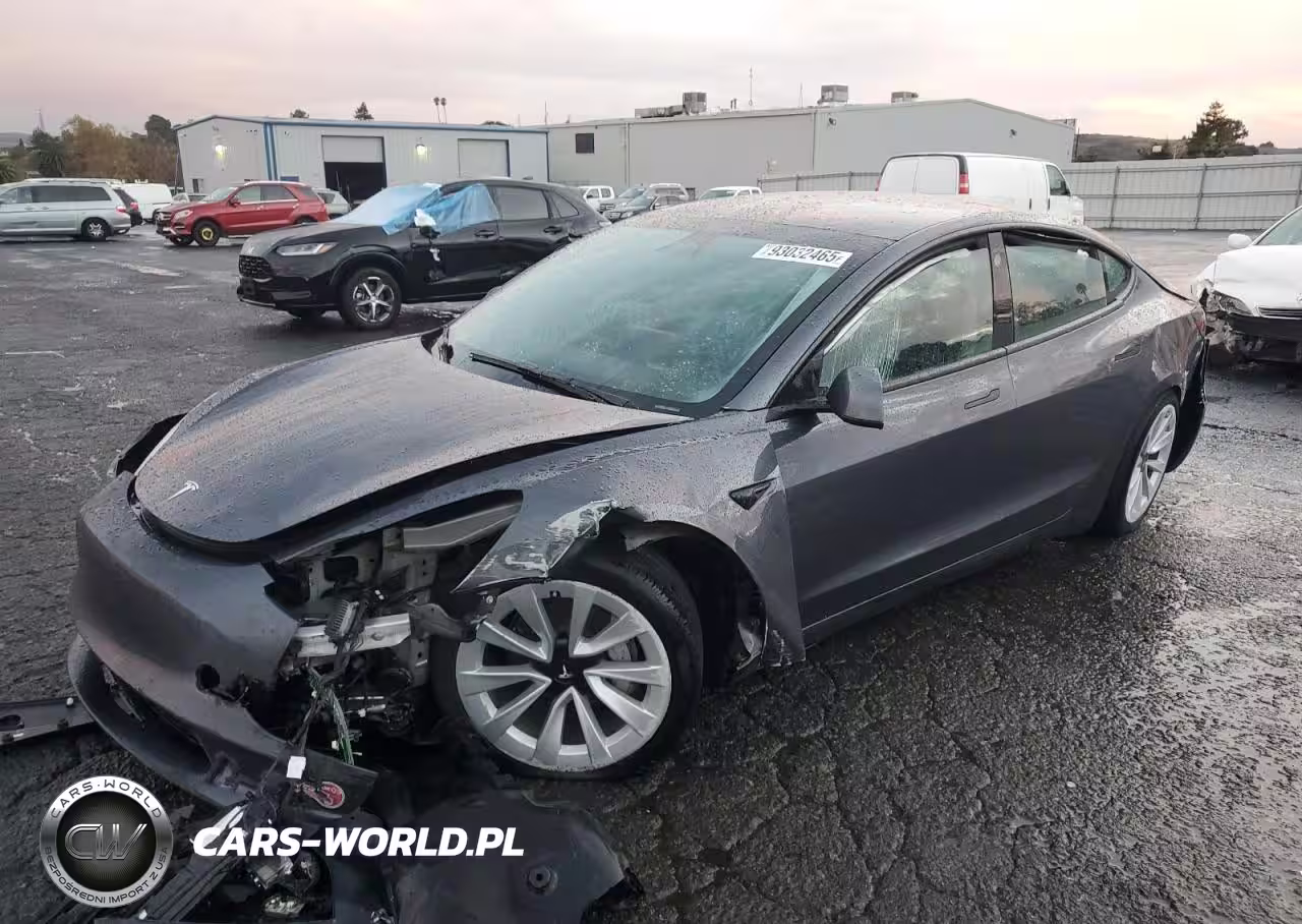 2023 Tesla Model 3