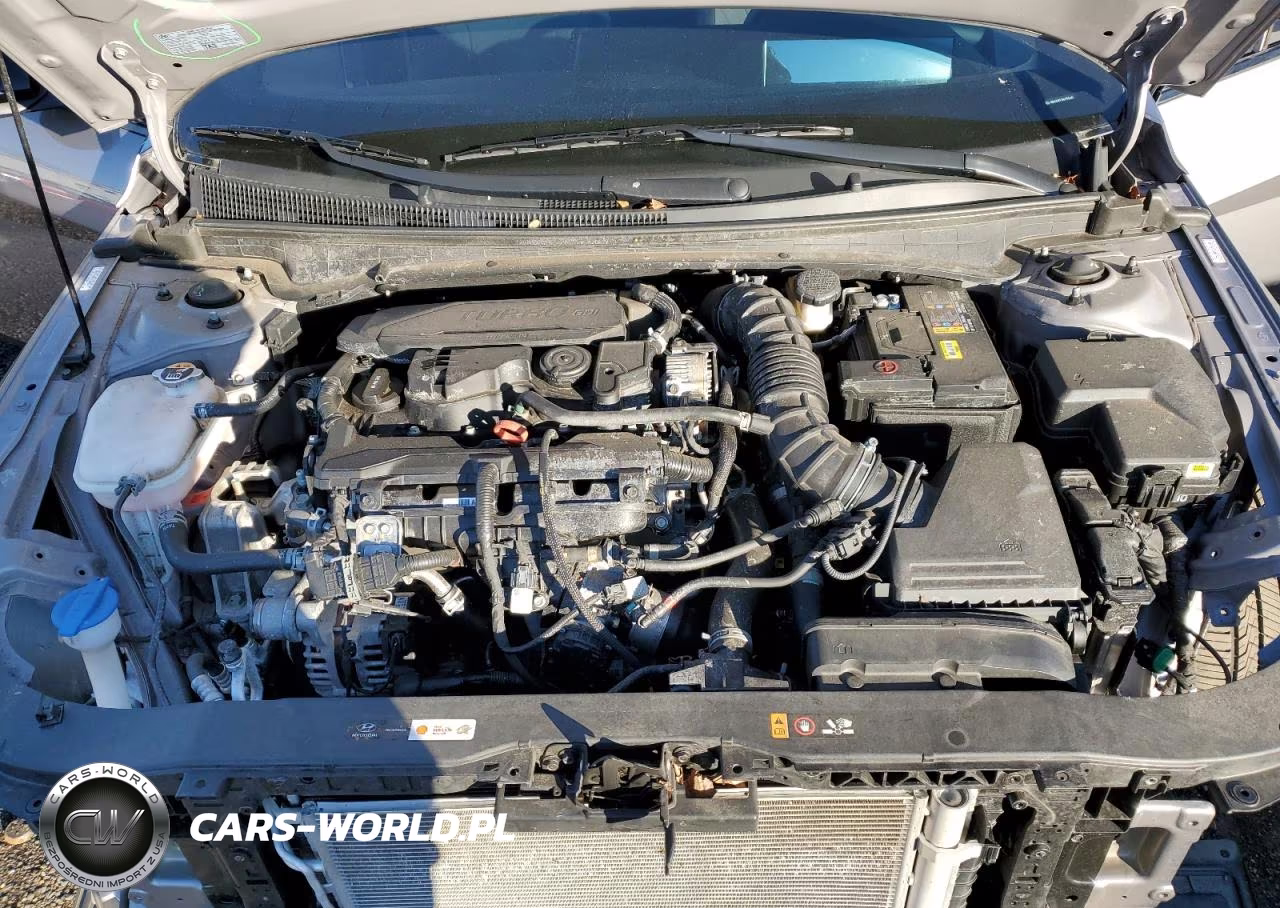 2024 Hyundai Elantra N Line VIN:KMHLR4DF3RU746405 - 11