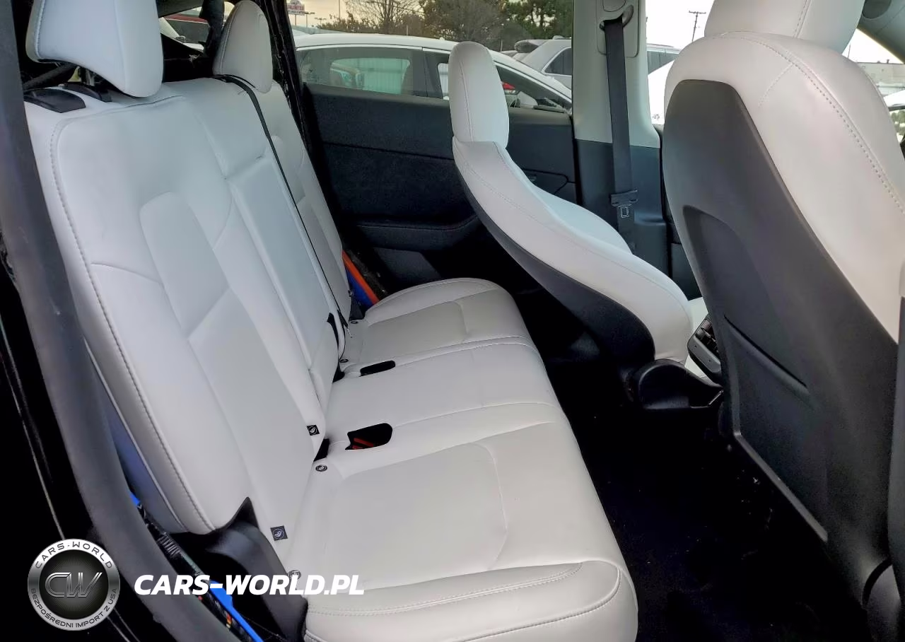 2024 Tesla Model Y VIN:7SAYGDED8RF230355 - 10