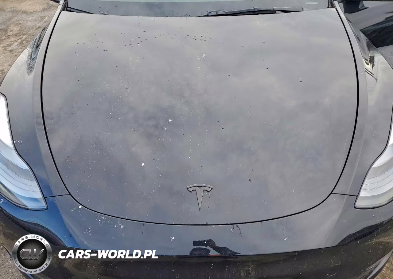 2024 Tesla Model Y VIN:7SAYGDED8RF230355 - 11