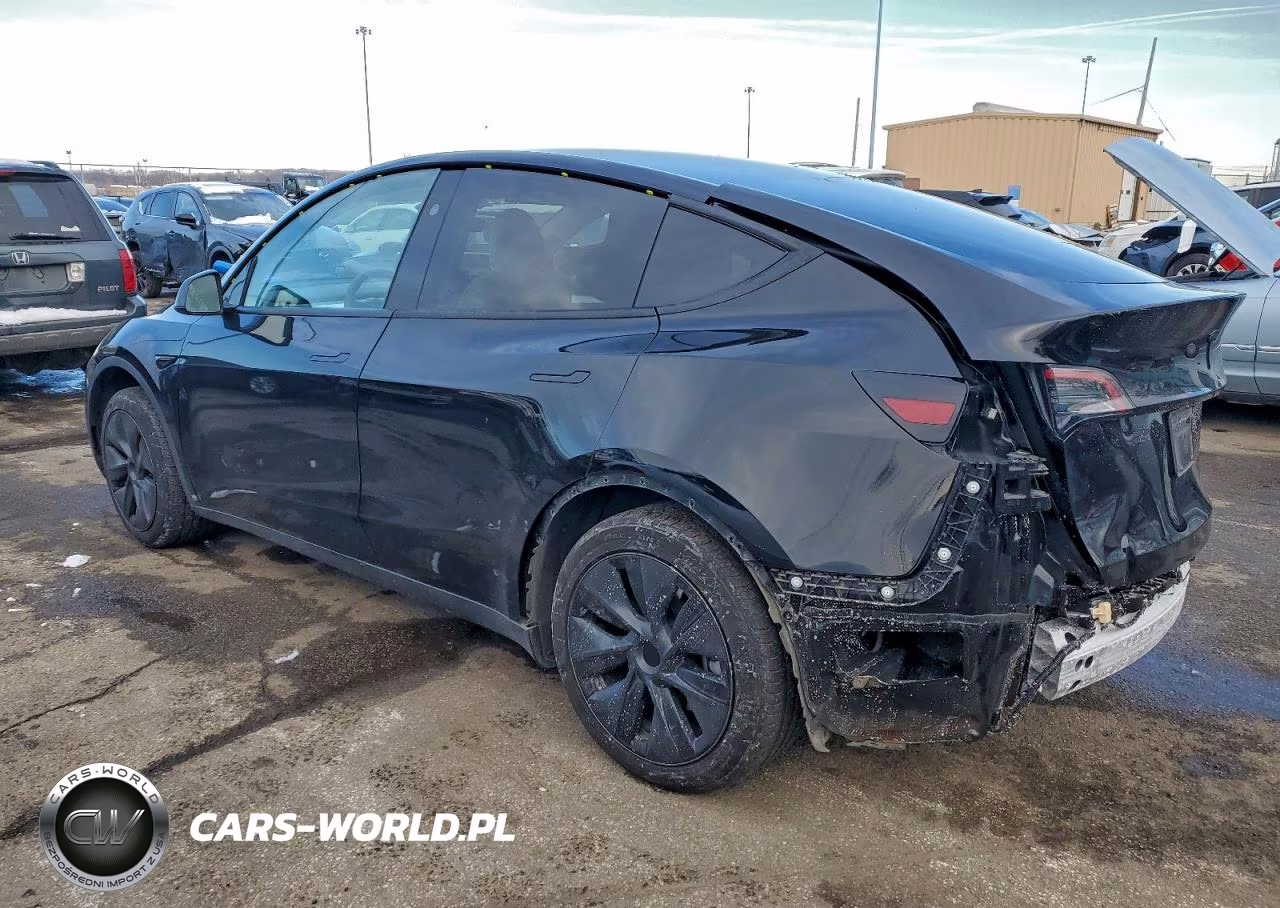 2024 Tesla Model Y VIN:7SAYGDED8RF230355 - 2