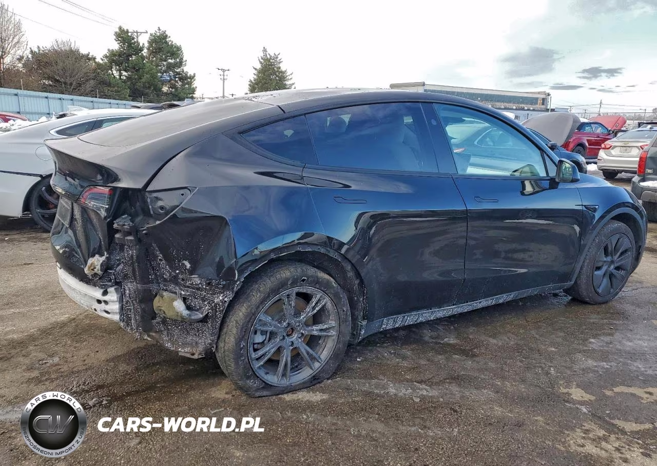 2024 Tesla Model Y VIN:7SAYGDED8RF230355 - 3