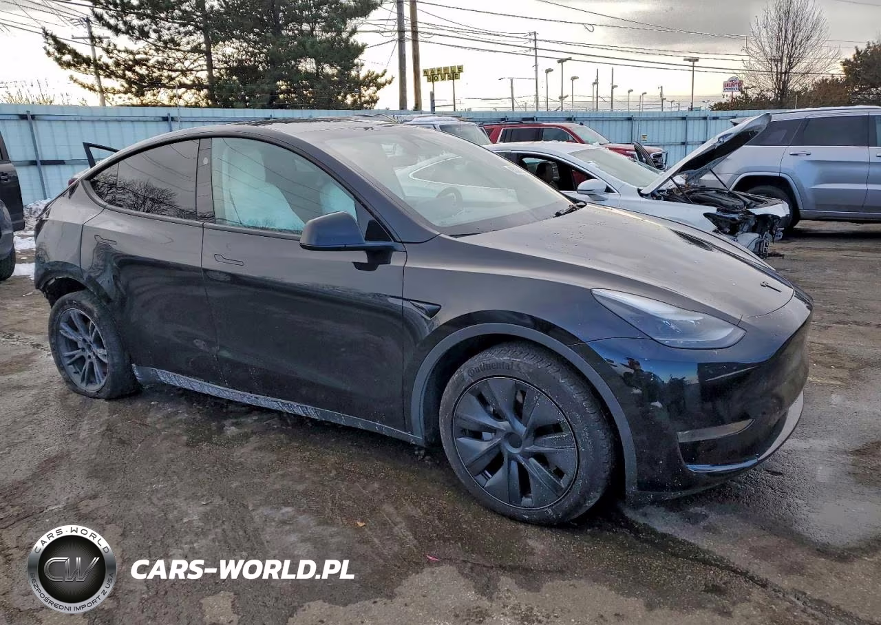 2024 Tesla Model Y VIN:7SAYGDED8RF230355 - 4