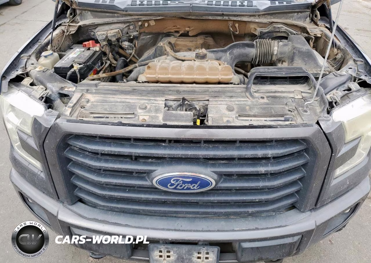 2015 Ford F150 Supercrew VIN:1FTEW1EP3FKD36657 - 11
