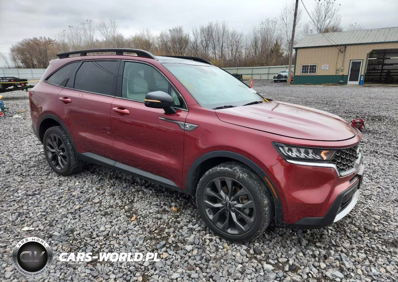 2022 Kia Sorento Ex VIN:5XYRHDLF7NG094452 - 4