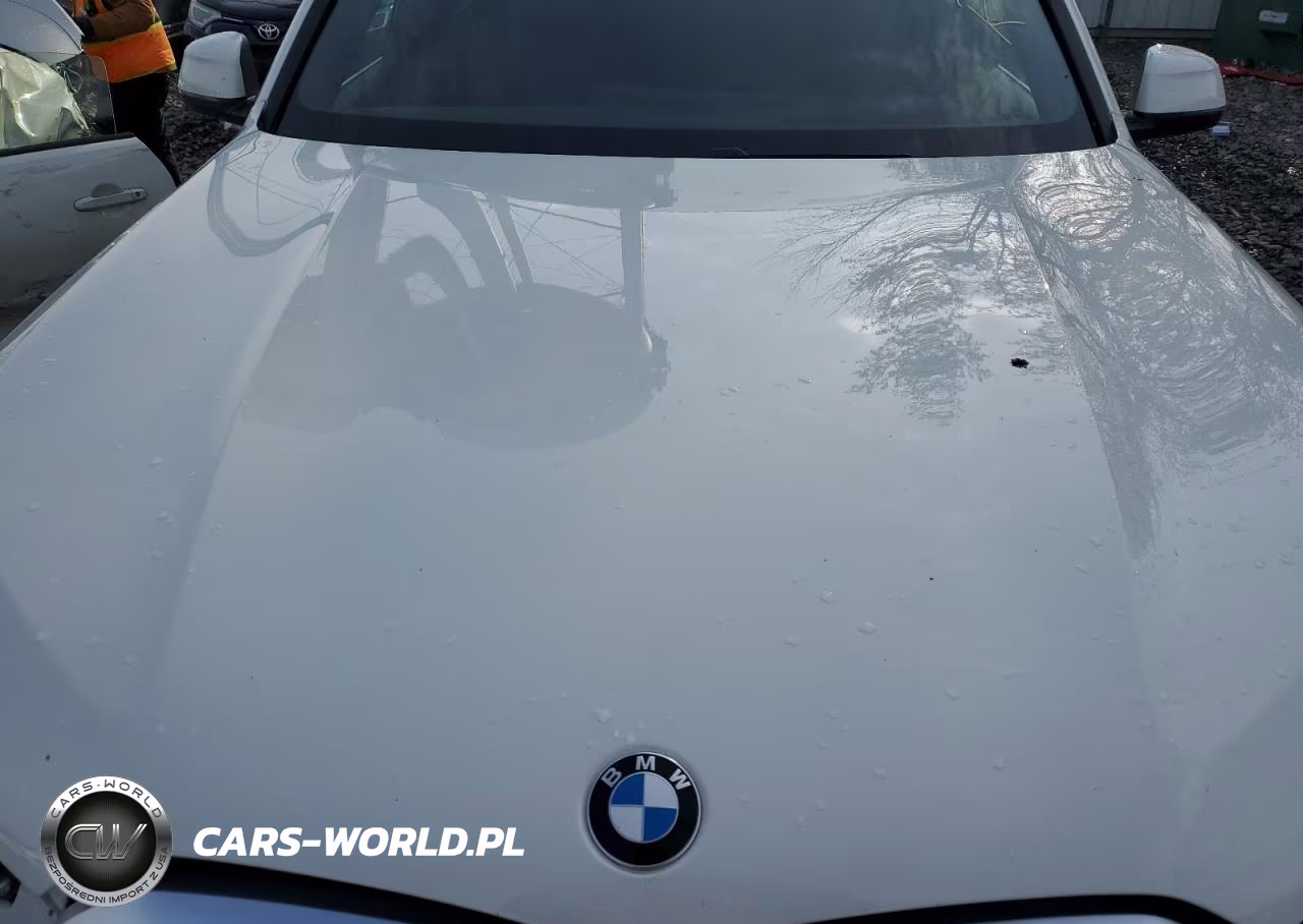 2024 BMW X5 Sdrive 40I VIN:5UX13EU01R9S68033 - 11