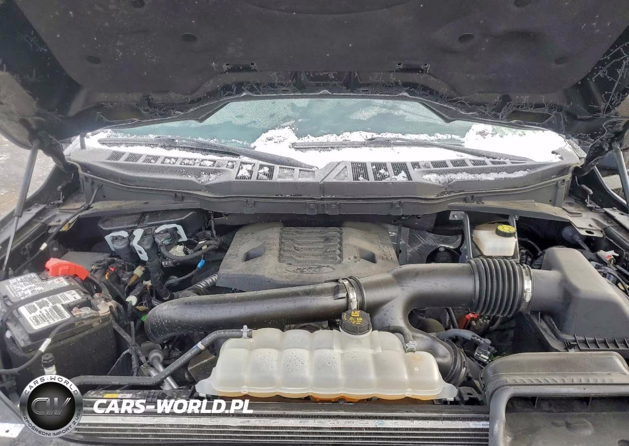 2023 Ford F150 Supercrew VIN:1FTFW1E8XPKE97425 - 11