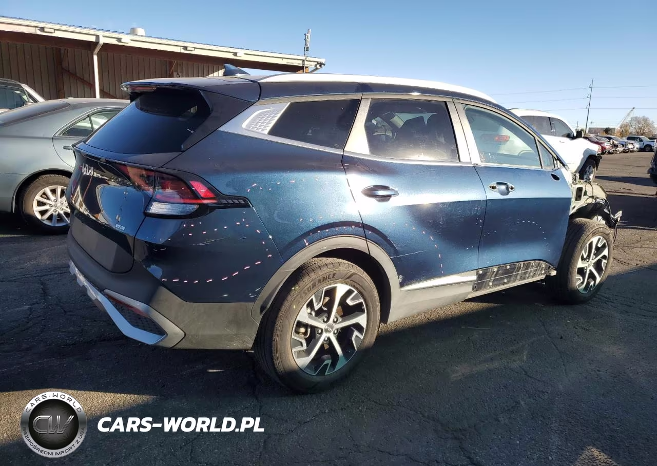 2024 Kia Sportage Ex VIN:KNDPVCDG3R7139990 - 3