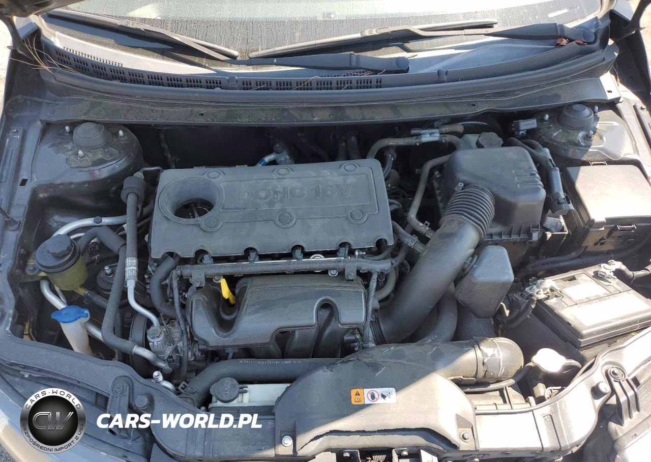 2013 Kia Forte Lx VIN:KNAFT4A25D5681545 - 11