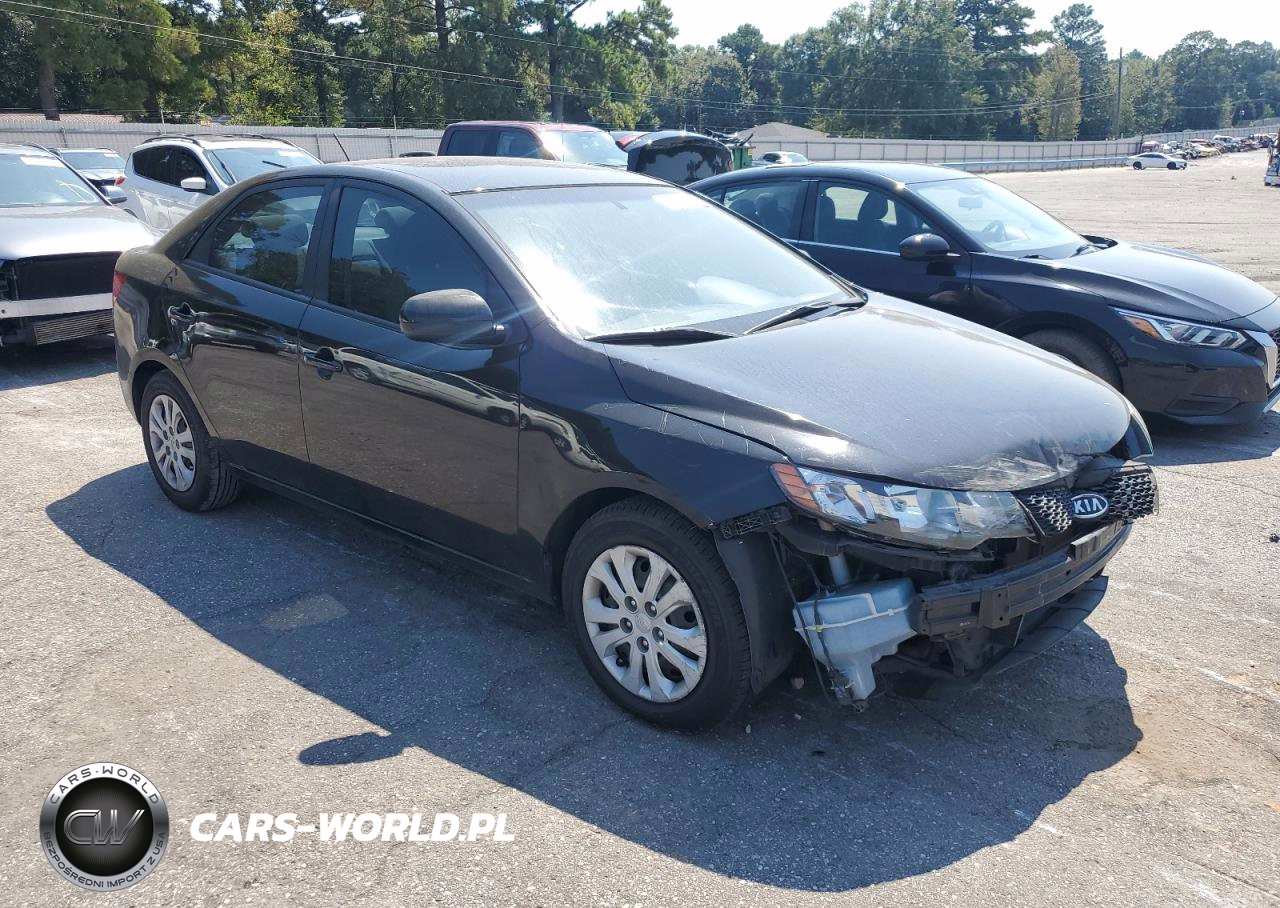2013 Kia Forte Lx VIN:KNAFT4A25D5681545 - 4