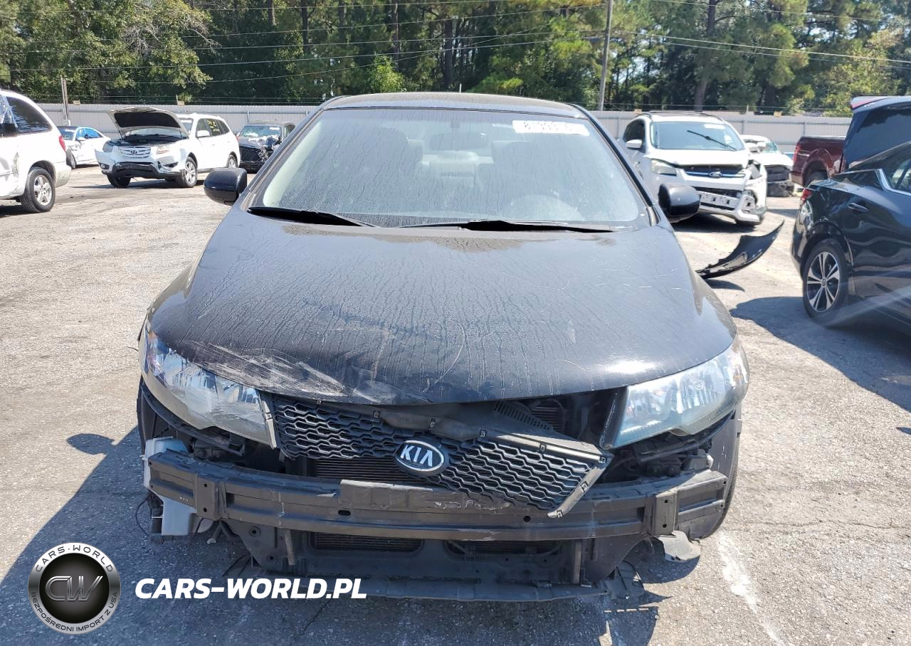 2013 Kia Forte Lx VIN:KNAFT4A25D5681545 - 5