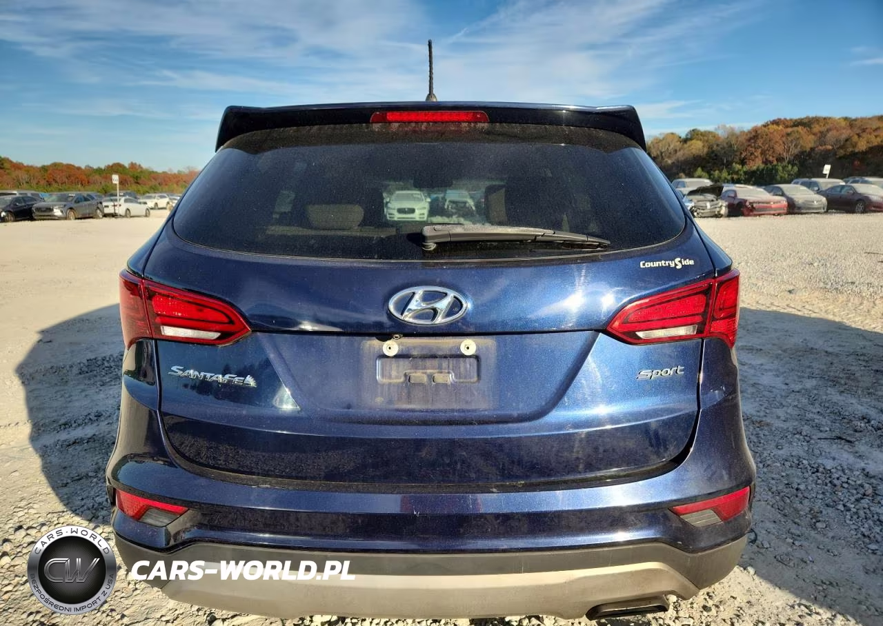 2018 Hyundai Santa Fe Sport VIN:5XYZT3LB3JG545599 - 6