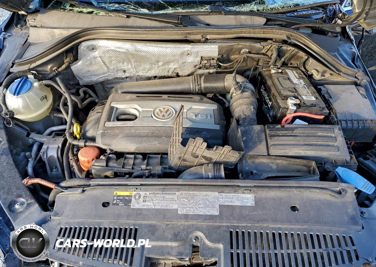 2013 Volkswagen Tiguan S VIN:WVGAV3AX1DW617568 - 11