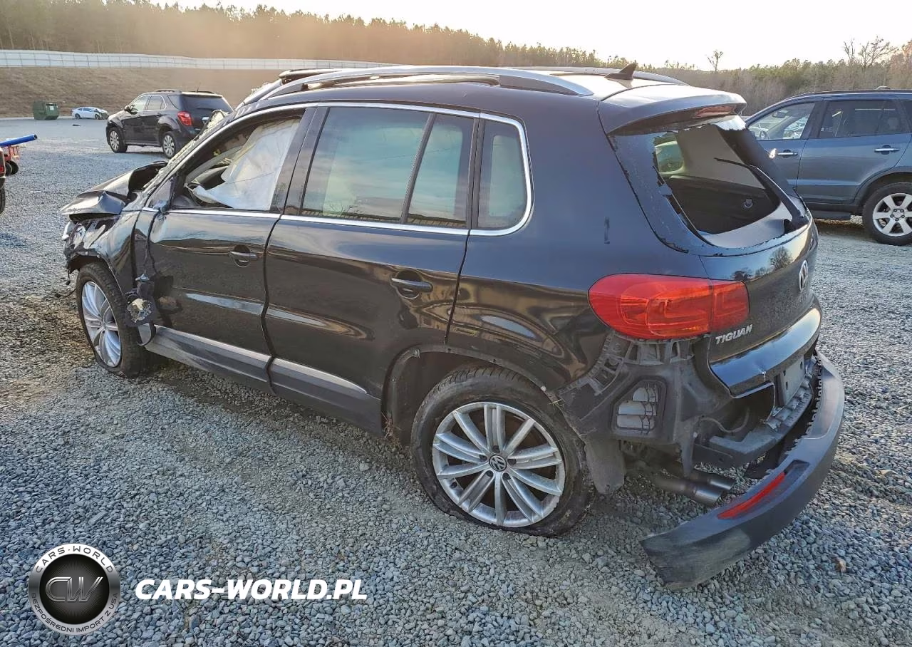 2013 Volkswagen Tiguan S VIN:WVGAV3AX1DW617568 - 2