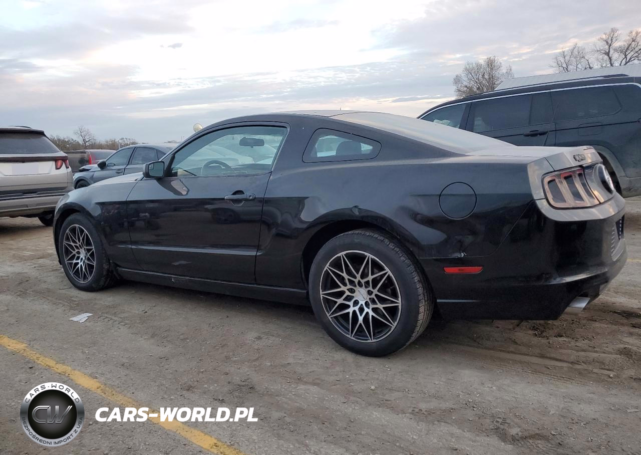 2014 Ford Mustang VIN:1ZVBP8AM0E5306319 - 2