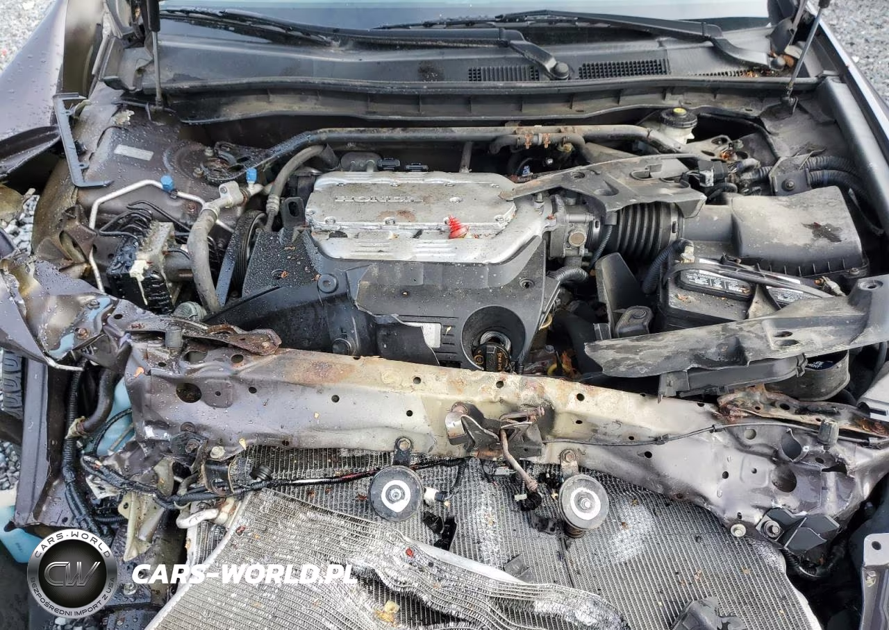 2011 Honda Accord Exl VIN:1HGCP3F80BA004197 - 11