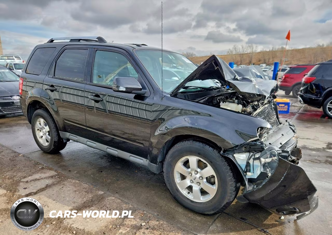2010 Ford Escape Limited VIN:1FMCU0E74AKB75831 - 4