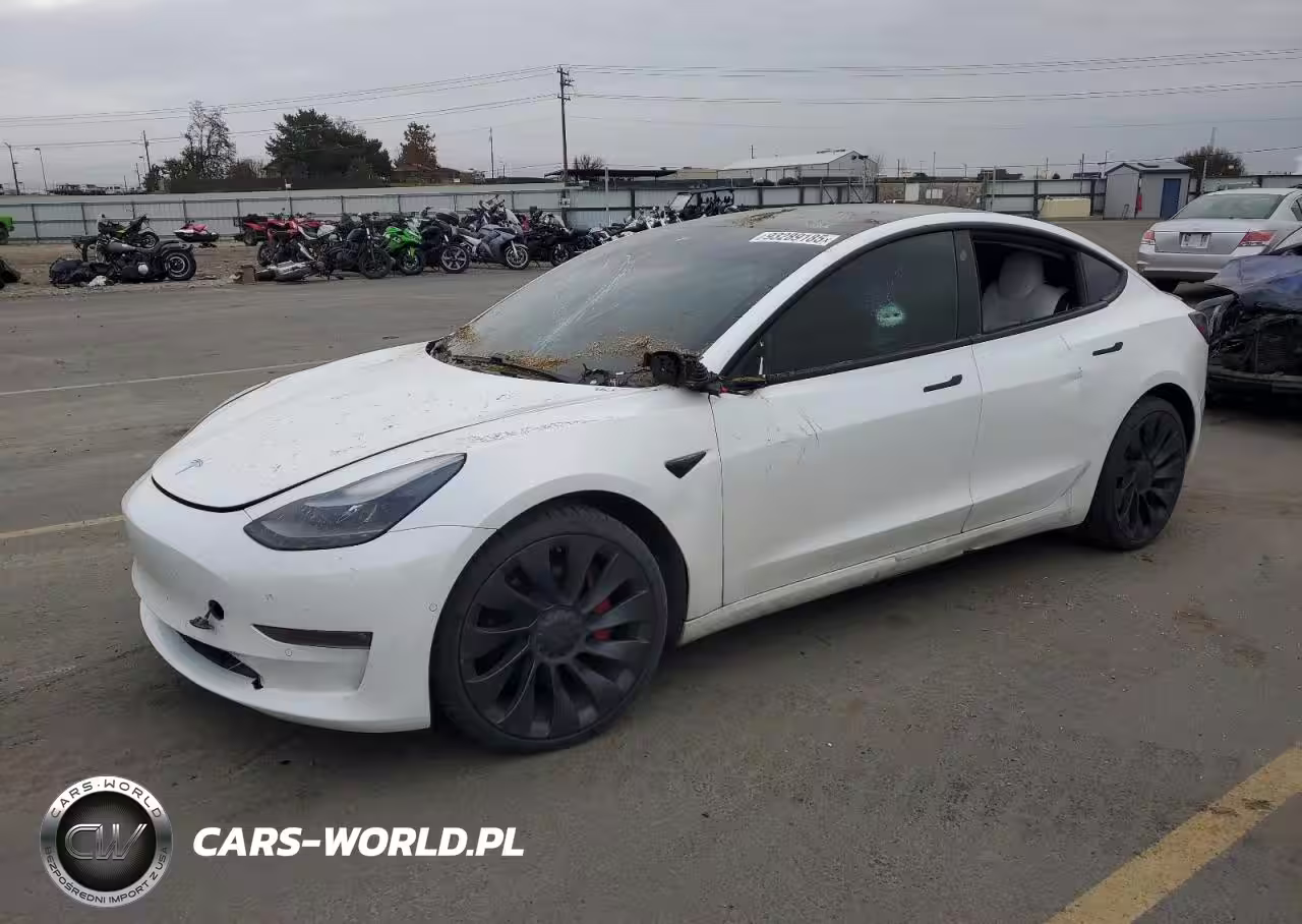 2021 Tesla Model 3