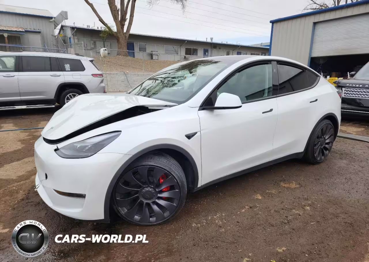 2025 Tesla Model Y
