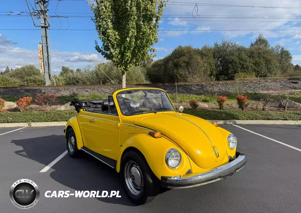 1979 Volkswagen Beetle