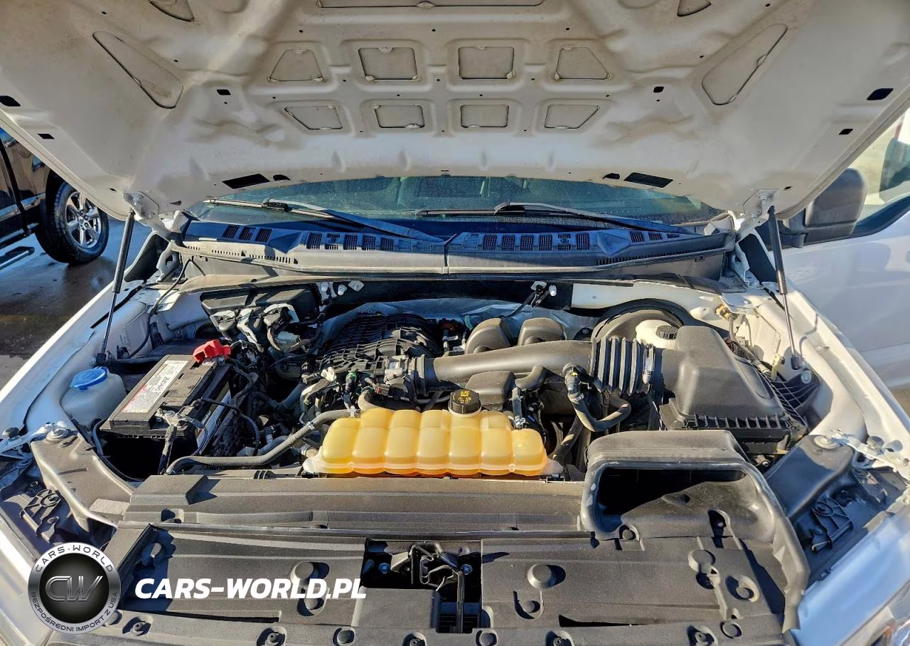 2020 Ford F150 Supercrew VIN:1FTEW1CB8LKE11307 - 11