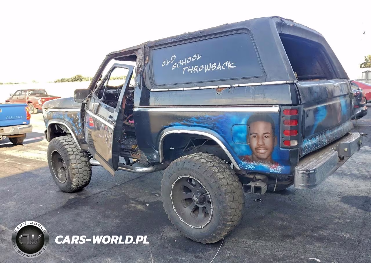 1983 Ford Bronco U100 VIN:1FMDU15F3DLA11230 - 2