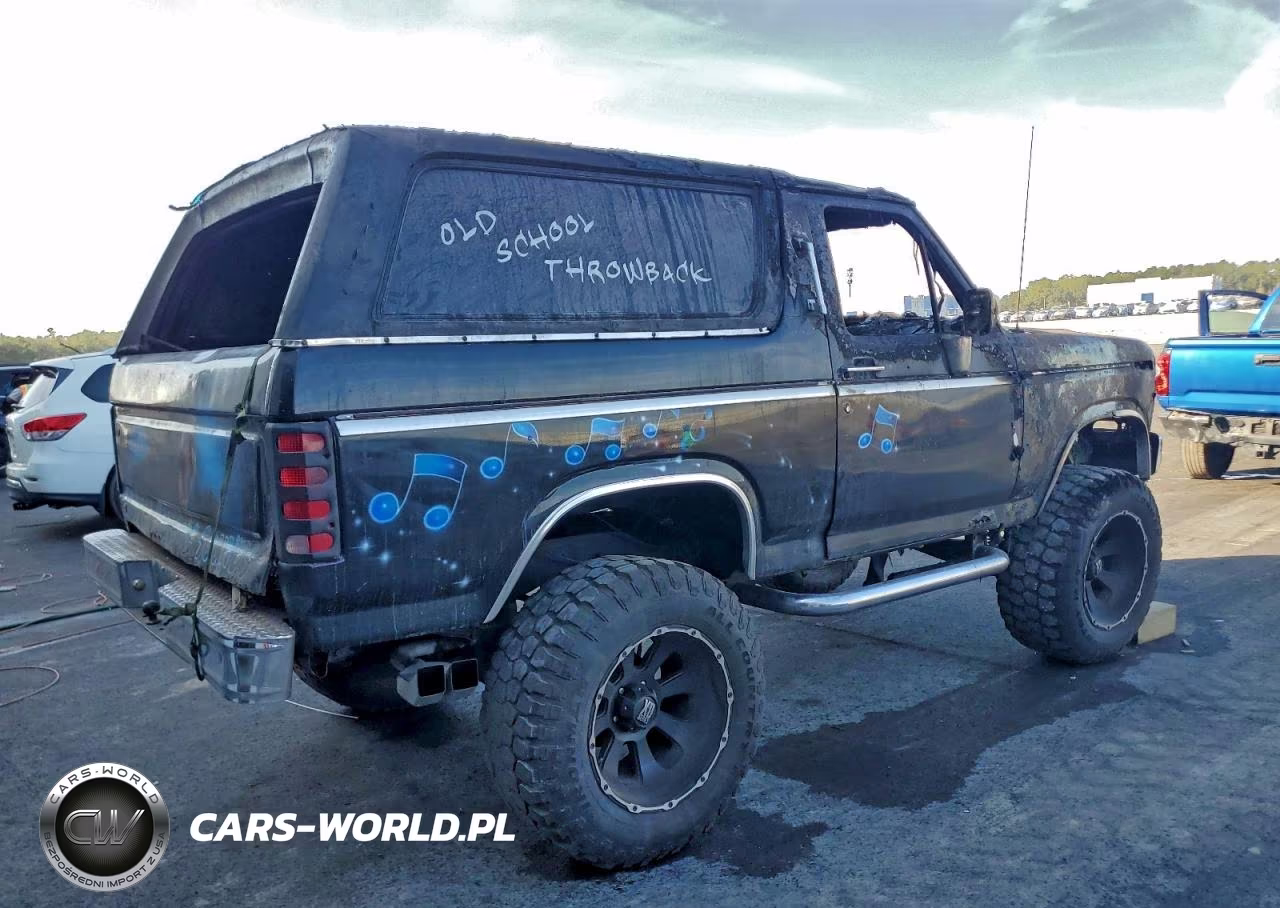 1983 Ford Bronco U100 VIN:1FMDU15F3DLA11230 - 3