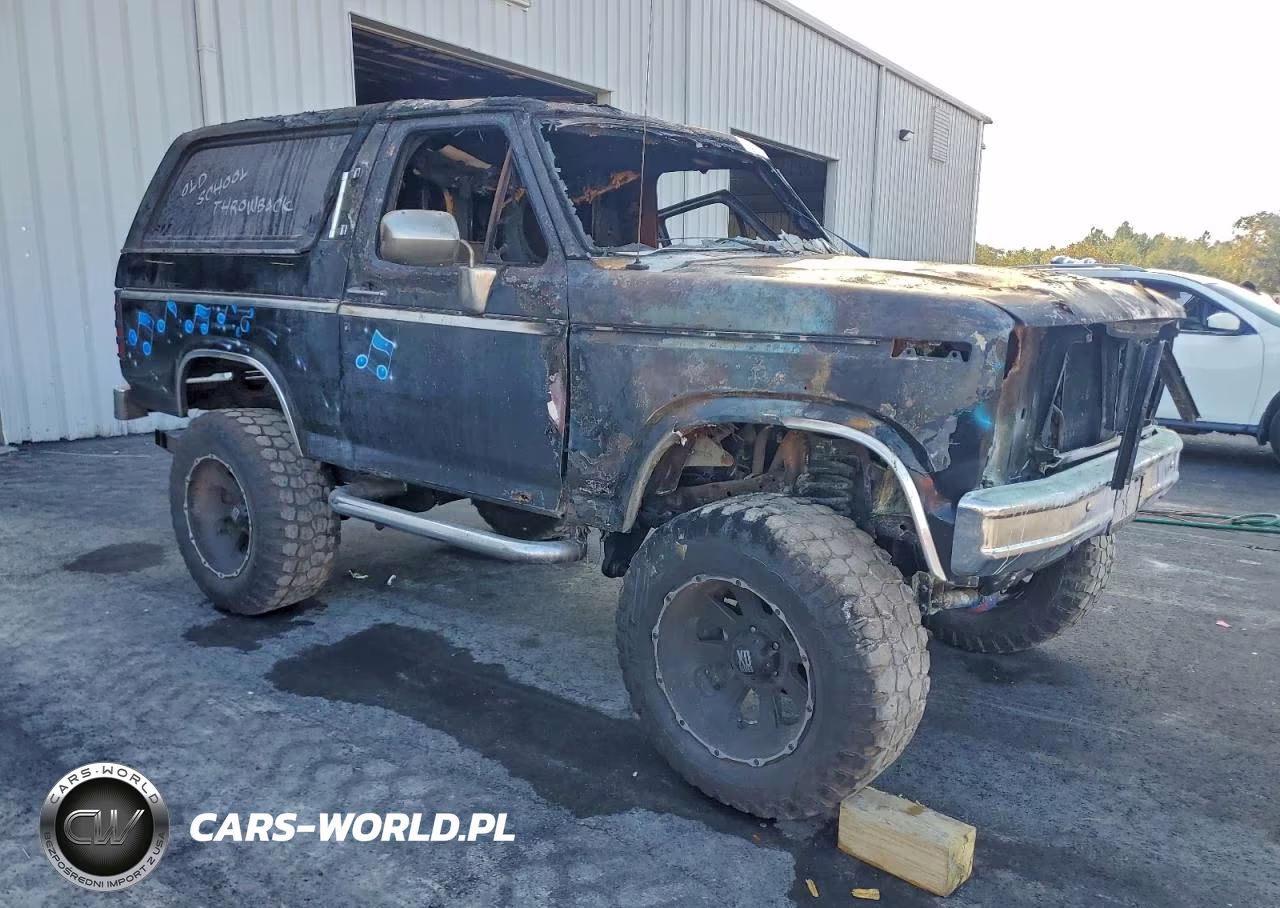 1983 Ford Bronco U100 VIN:1FMDU15F3DLA11230 - 4