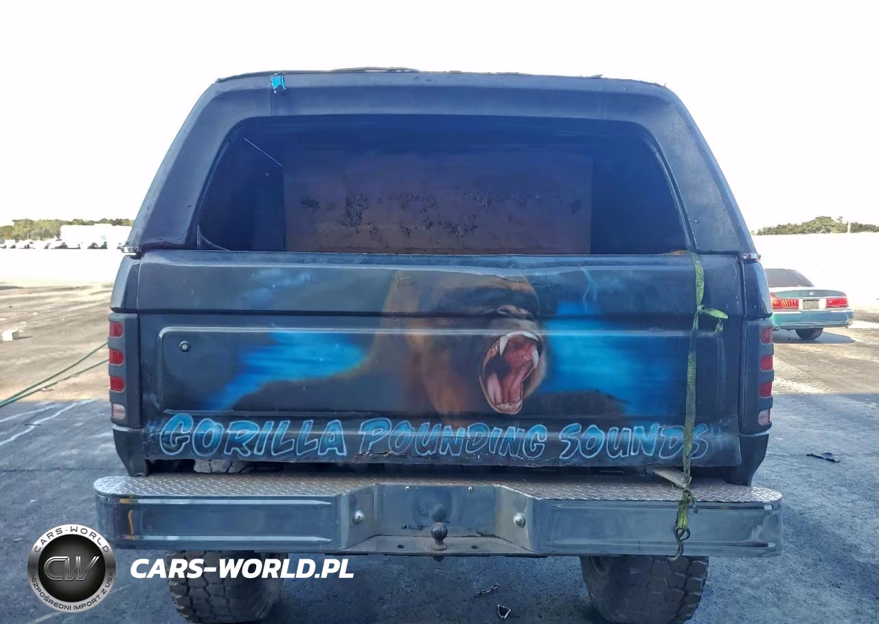 1983 Ford Bronco U100 VIN:1FMDU15F3DLA11230 - 6